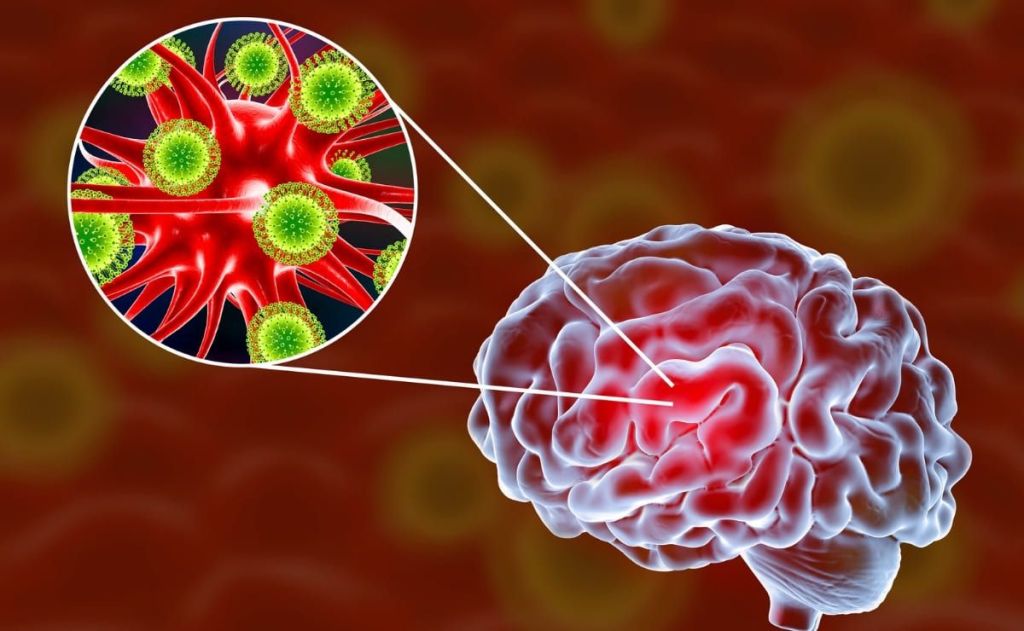 Alerta en Argentina por primer caso humano de encefalitis equina occidental después de dos&nbsp;décadas