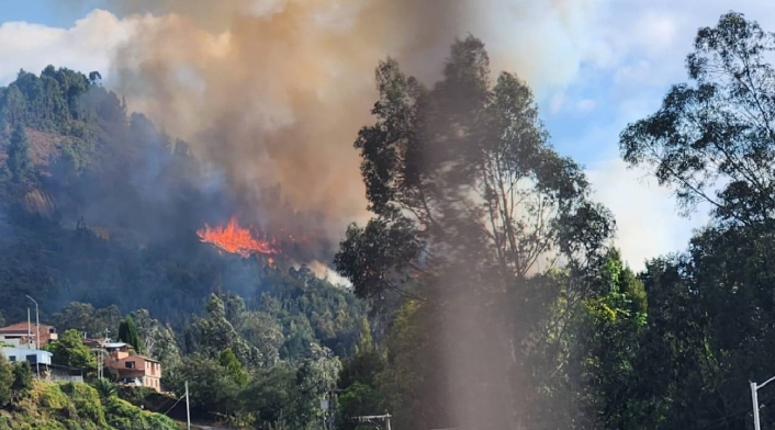 Incendios forestales: Se debe restaurar la flora de cerros orientales de Bogotá con especies nativas, según expertos de la Universidad del&nbsp;Rosario
