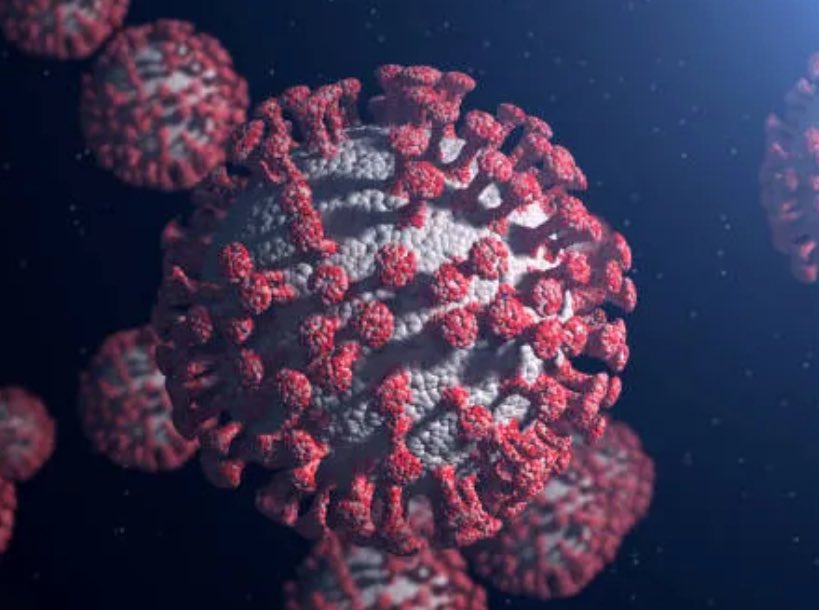 ¿Qué es la viruela del mono, declarada como alerta de preocupación&nbsp;internacional?