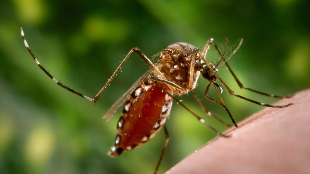 Fiebre amarilla: 34 muertos y 74 casos confirmados, en Tolima se pasó de 4 a 22 zonas&nbsp;afectadas