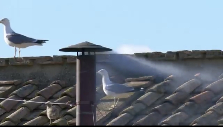 Habemus Papam: Expectativa mundial tras la fumata blanca en la cuarta votación del&nbsp;cónclave