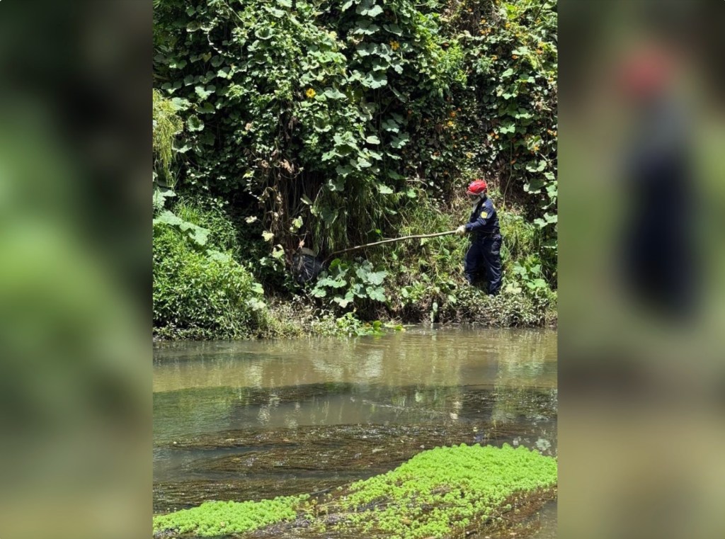 Atención: La menor Valeria Afanador murió ahogada, de acuerdo con dictamen preliminar de Medicina&nbsp;Legal