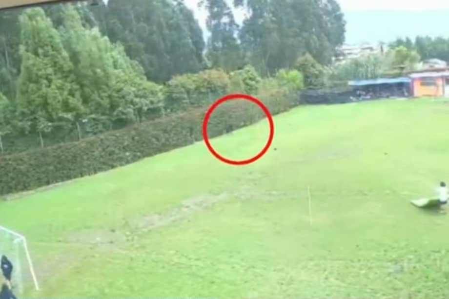 Anuncian acciones legales contra colegio de Valeria Afanador por «omisiones graves», abogado de la&nbsp;familia