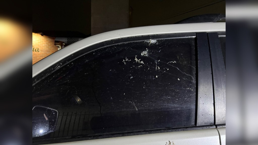 “Logramos escapar”: Senador Temistocles Ortega, ileso ataque armado en Cauca, su vehículo recibió seis impactos de&nbsp;bala