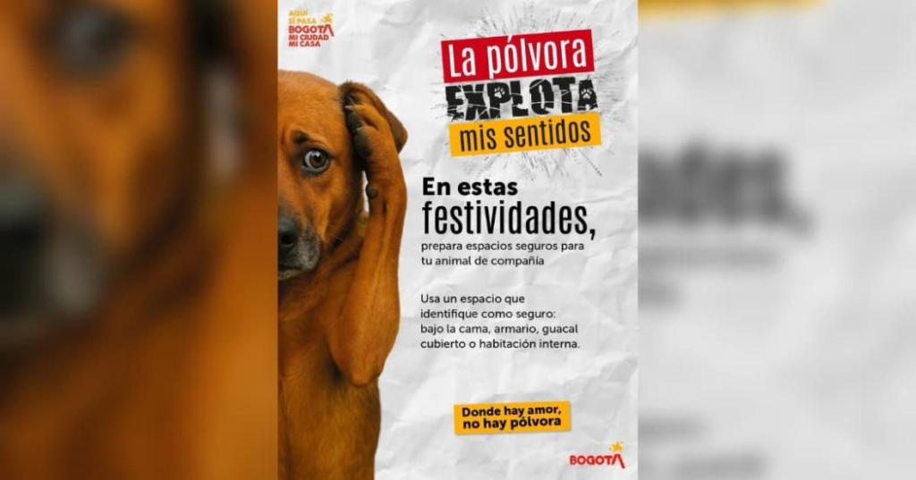 “La Pólvora Explota Mis Sentidos”: Campaña sobre efectos del uso de juegos pirotécnicos en animales