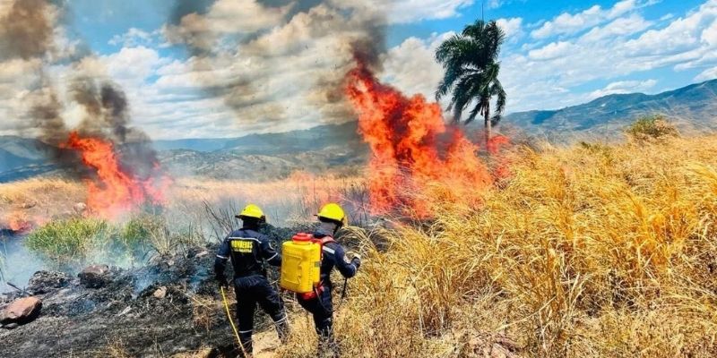 Se disparan incendios forestales en Cundinamarca, se suspenden quemas abiertas en los 116&nbsp;municipios